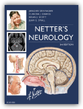 Netter Neurology