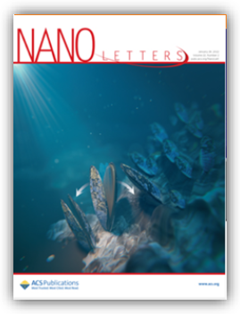 Nano letters